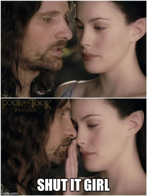 Arwen hushing Aragorn | SHUT IT GIRL | image tagged in arwen hushing aragorn | made w/ Imgflip meme maker