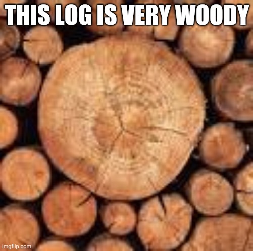 That is very very woody | THIS LOG IS VERY WOODY | image tagged in that would be great,to be continued,the scroll of truth,woody | made w/ Imgflip meme maker