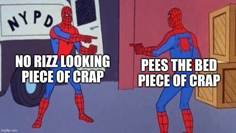 spiderman pointing at spiderman | NO RIZZ LOOKING PIECE OF CRAP; PEES THE BED PIECE OF CRAP | image tagged in spiderman pointing at spiderman | made w/ Imgflip meme maker