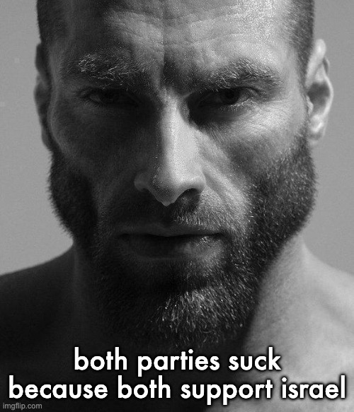 Gigachad Staring | both parties suck because both support israel | image tagged in gigachad staring | made w/ Imgflip meme maker