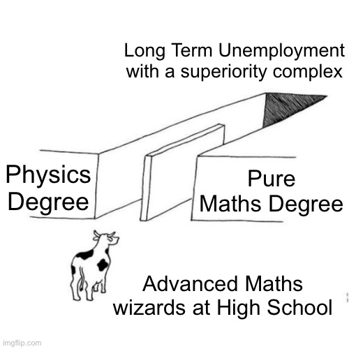 Physics or Maths | Long Term Unemployment with a superiority complex; Physics Degree; Pure Maths Degree; Advanced Maths wizards at High School | image tagged in the illusion of free choice blank,school,physics,mathematics,unemployment,we are intellectually superior in every way | made w/ Imgflip meme maker