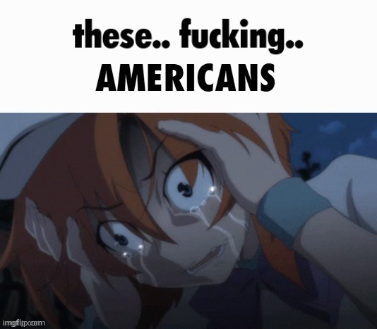 these.. fucking.. AMERICANS | image tagged in these fucking americans | made w/ Imgflip meme maker