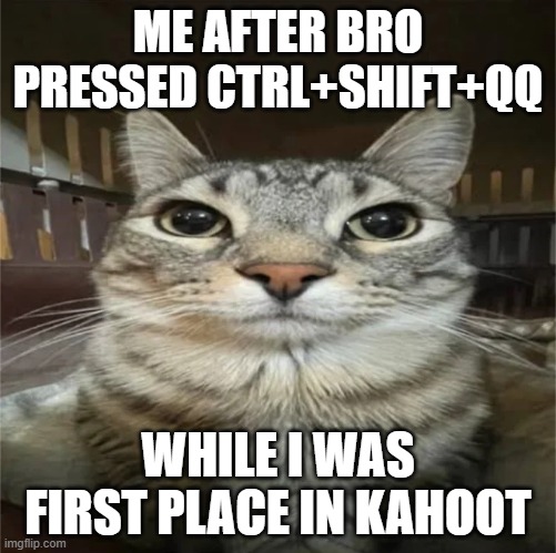 I hate it when this happens | ME AFTER BRO PRESSED CTRL+SHIFT+QQ; WHILE I WAS FIRST PLACE IN KAHOOT | image tagged in serious cat meme | made w/ Imgflip meme maker