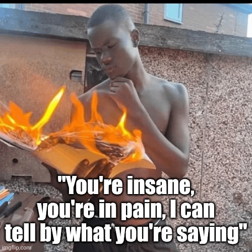 "You're insane, you're in pain, I can tell by what you're saying" | made w/ Imgflip meme maker