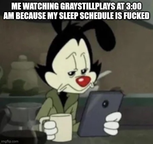 Yakko holding a phone | ME WATCHING GRAYSTILLPLAYS AT 3:00 AM BECAUSE MY SLEEP SCHEDULE IS FUCKED | image tagged in yakko holding a phone,memes,relatable | made w/ Imgflip meme maker