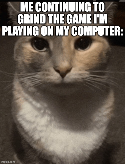 cat dead stare | ME CONTINUING TO GRIND THE GAME I'M PLAYING ON MY COMPUTER: | image tagged in cat dead stare | made w/ Imgflip meme maker