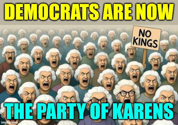 Now known as the party of Karens | DEMOCRATS ARE NOW; THE PARTY OF KARENS | image tagged in democrats,party of karens | made w/ Imgflip meme maker