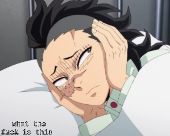 Wtf is this | image tagged in wtf is this | made w/ Imgflip meme maker