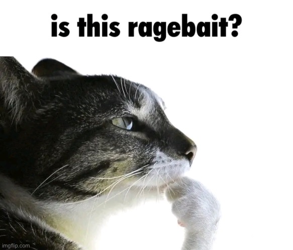 image tagged in is this ragebait | made w/ Imgflip meme maker