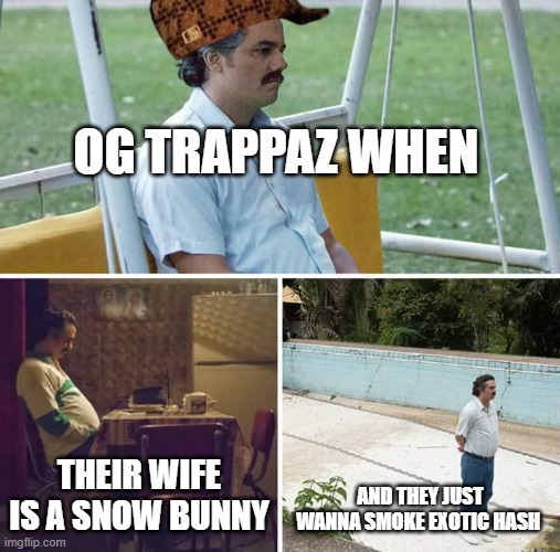 who wanna go on a "monarch" trip :) | OG TRAPPAZ WHEN; THEIR WIFE IS A SNOW BUNNY; AND THEY JUST WANNA SMOKE EXOTIC HASH | image tagged in memes,sad pablo escobar,dank | made w/ Imgflip meme maker