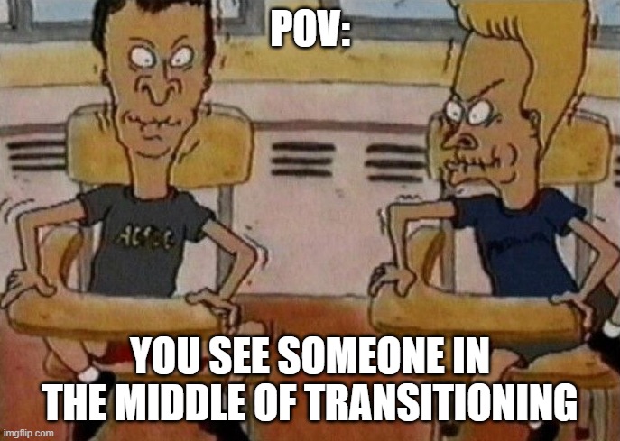 Its a little funny looking tbh | POV:; YOU SEE SOMEONE IN THE MIDDLE OF TRANSITIONING | image tagged in beavis and butthead holding in their laughter,lol so funny,memes,beavis and butthead,lgbtq | made w/ Imgflip meme maker