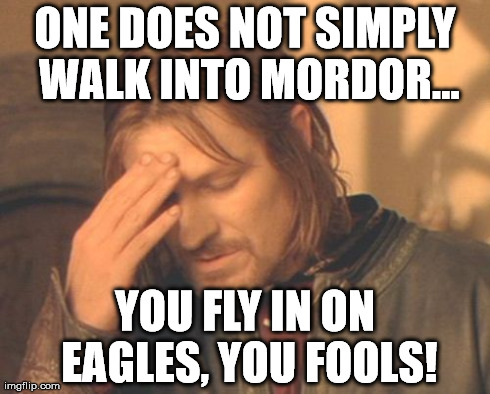 Frustrated Boromir Meme | ONE DOES NOT SIMPLY WALK INTO MORDOR... YOU FLY IN ON EAGLES, YOU FOOLS! | image tagged in memes,frustrated boromir | made w/ Imgflip meme maker