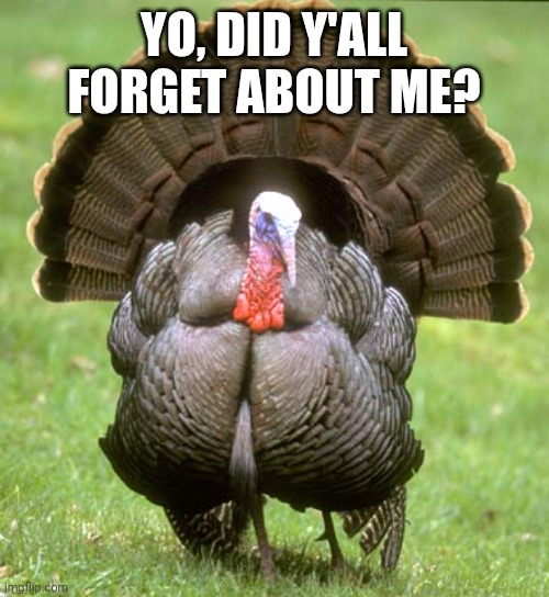 Turkey Meme | YO, DID Y'ALL FORGET ABOUT ME? | image tagged in memes,turkey | made w/ Imgflip meme maker