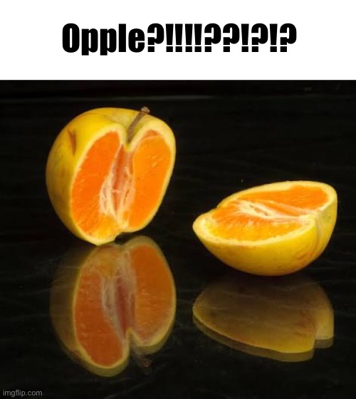 Opple?!!!!??!?!? | made w/ Imgflip meme maker