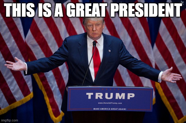Donald Trump | THIS IS A GREAT PRESIDENT | image tagged in donald trump | made w/ Imgflip meme maker