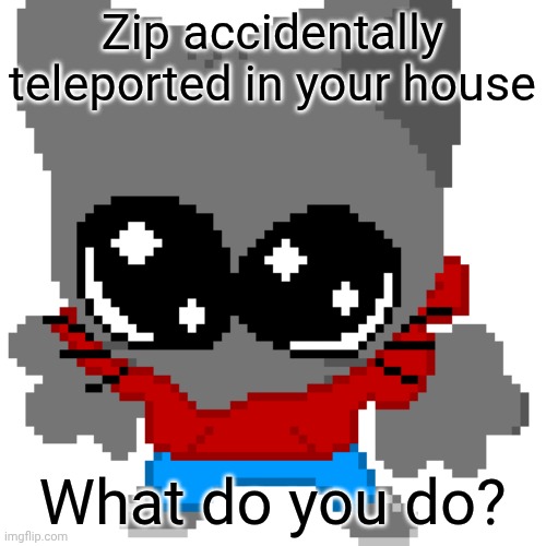 goober zip | Zip accidentally teleported in your house; What do you do? | image tagged in goober zip | made w/ Imgflip meme maker