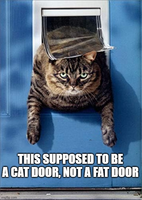 I thought this was a cat door, not a fat door.   --  funny  -- | THIS SUPPOSED TO BE A CAT DOOR, NOT A FAT DOOR | image tagged in cat,kittens,funny,humor,play on words,funny cat memes | made w/ Imgflip meme maker