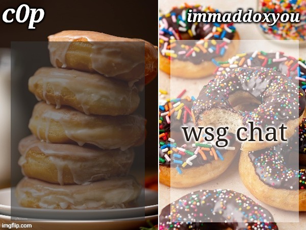 c0p + immaddoxyou donuts temp | wsg chat | image tagged in c0p immaddoxyou donuts temp | made w/ Imgflip meme maker