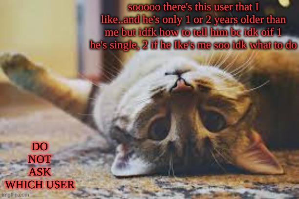 if u ask what user it is I will chop suey ur asshole so badly u cant sit | sooooo there's this user that I like..and he's only 1 or 2 years older than me but idfk how to tell him bc idk oif 1 he's single, 2 if he Ike's me soo idk what to do; DO NOT ASK WHICH USER | image tagged in cat,system of a down refernce,soad | made w/ Imgflip meme maker