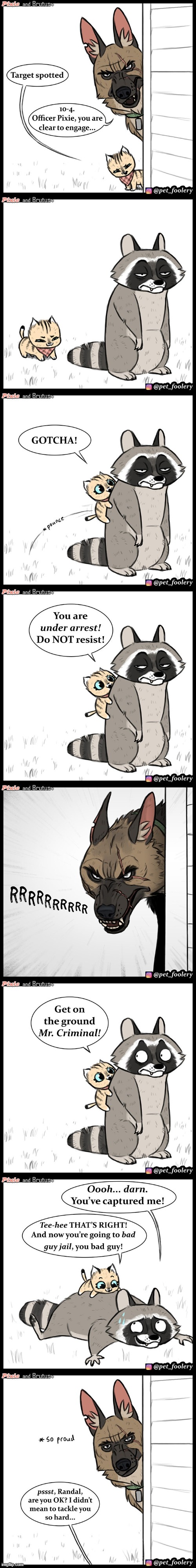 image tagged in dog,cat,racoon,police,bad guy,scared | made w/ Imgflip meme maker