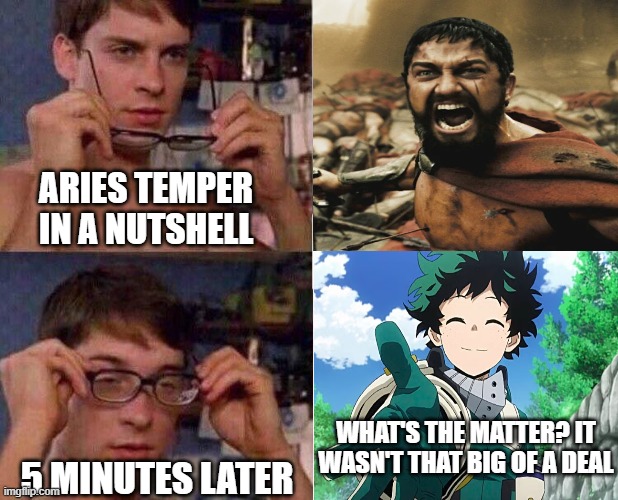 Aries Temper in a Nutshell | ARIES TEMPER IN A NUTSHELL; WHAT'S THE MATTER? IT WASN'T THAT BIG OF A DEAL; 5 MINUTES LATER | image tagged in astrology,zodiac signs,spiderman glasses,300 | made w/ Imgflip meme maker