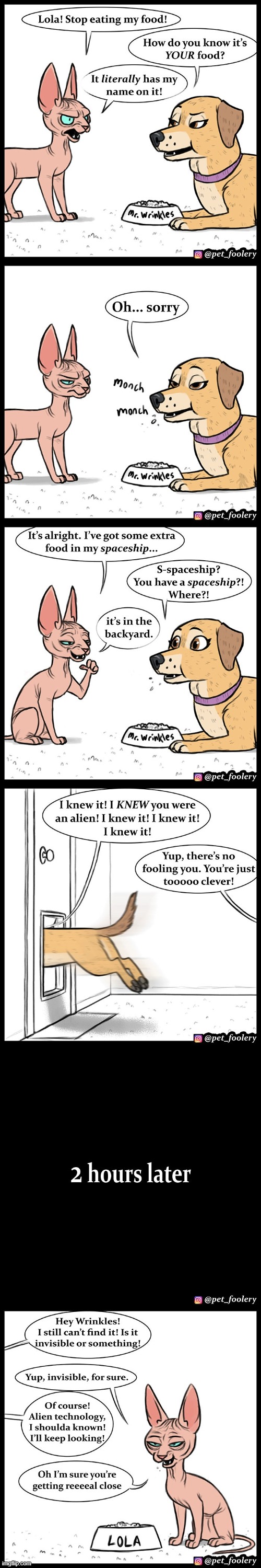 image tagged in dog,cat,food,alien,spaceship,prank | made w/ Imgflip meme maker