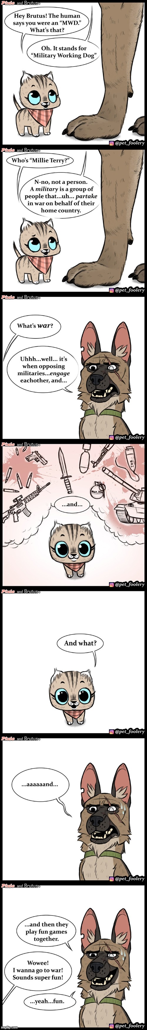 image tagged in cat,dog,military,war,trauma,lie | made w/ Imgflip meme maker