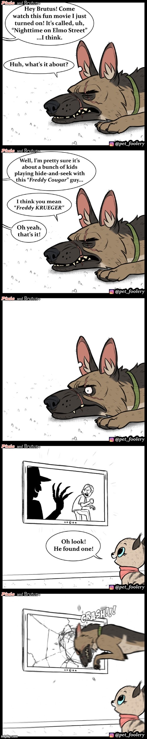 image tagged in dog,cat,nightmare on elm street,freddy krueger,tv,crash | made w/ Imgflip meme maker