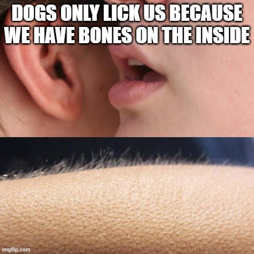 My friend half way through assuring me that everything's fine when I'm crying | DOGS ONLY LICK US BECAUSE WE HAVE BONES ON THE INSIDE | image tagged in whisper and goosebumps | made w/ Imgflip meme maker