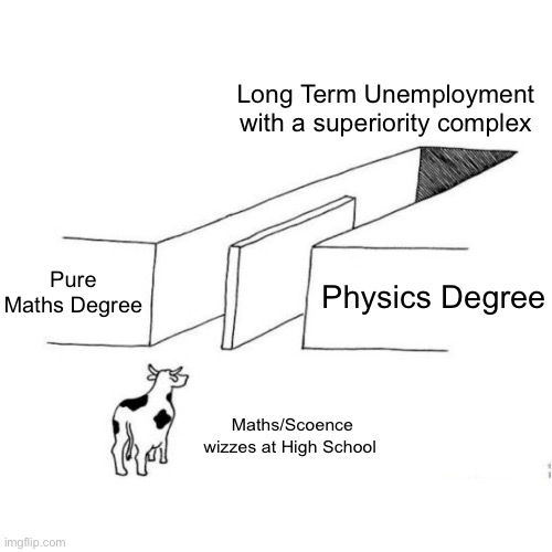 The choices you have | Long Term Unemployment with a superiority complex; Pure Maths Degree; Physics Degree; Maths/Scoence wizzes at High School | image tagged in the illusion of free choice blank,math,physics,we are intellectually superior in every way,unemployment,careers | made w/ Imgflip meme maker