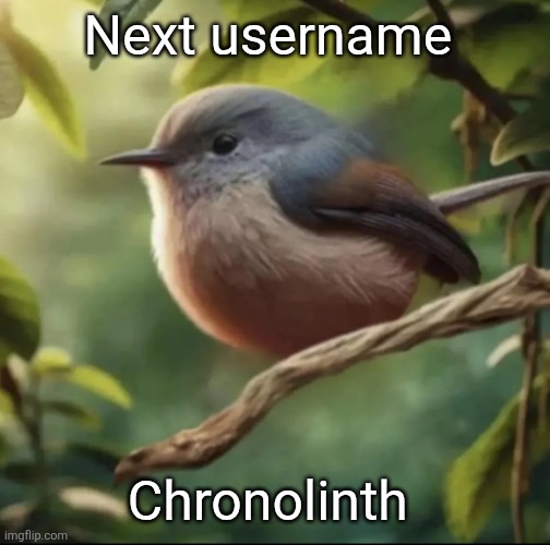 No balls | Next username; Chronolinth | image tagged in no balls | made w/ Imgflip meme maker