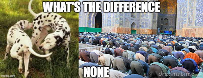 WHAT'S THE DIFFERENCE; NONE | image tagged in dogs sniffing,muslim pray fart | made w/ Imgflip meme maker