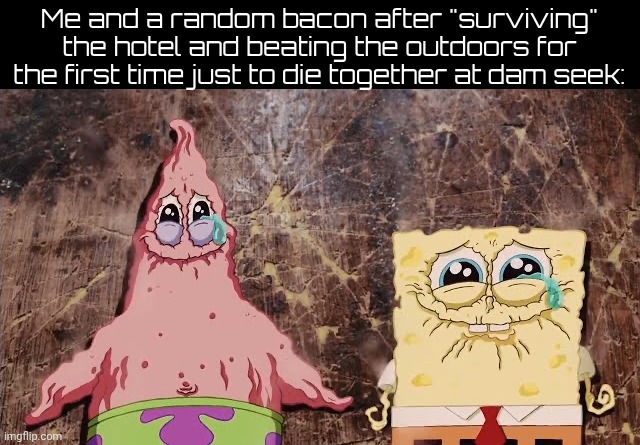 Shout out to @Yuiiuyttre223455 for sticking with me even after I killed him with figure as a joke, some of you shld learn frm ts | Me and a random bacon after "surviving" the hotel and beating the outdoors for the first time just to die together at dam seek: | image tagged in spongebob and patrick drying up | made w/ Imgflip meme maker