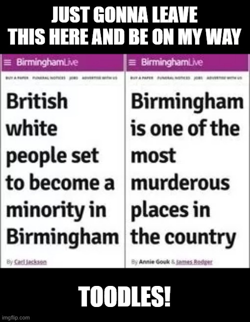 JUST GONNA LEAVE THIS HERE AND BE ON MY WAY; TOODLES! | image tagged in liberals | made w/ Imgflip meme maker