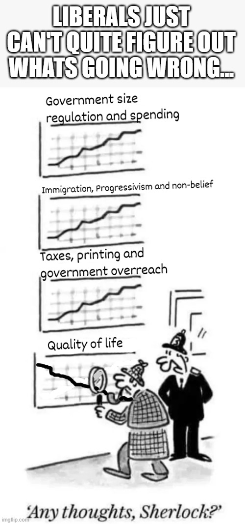 LIBERALS JUST CAN'T QUITE FIGURE OUT WHATS GOING WRONG... | image tagged in liberal logic | made w/ Imgflip meme maker