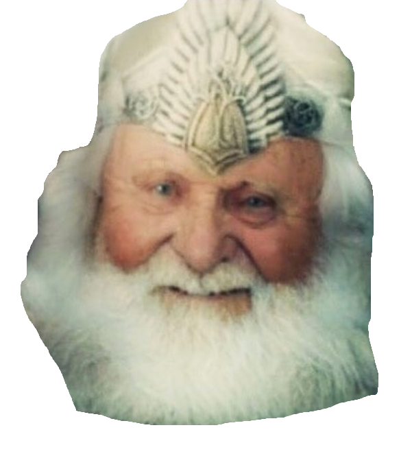 Old Aragorn Blank Meme Template