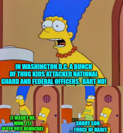Even Bart has got standards. | IN WASHINGTON D.C. A BUNCH OF THUG KIDS ATTACKED NATIONAL GUARD AND FEDERAL OFFICERS.  BART NO! IT WASN'T ME, MOM.  I'LL NEVER VOTE DEMOCRAT. SORRY SON . . . FORCE OF HABIT. | image tagged in simpsons bart no | made w/ Imgflip meme maker