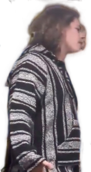 Self insert Guy who is also Squidward’s Male Lover Blank Meme Template