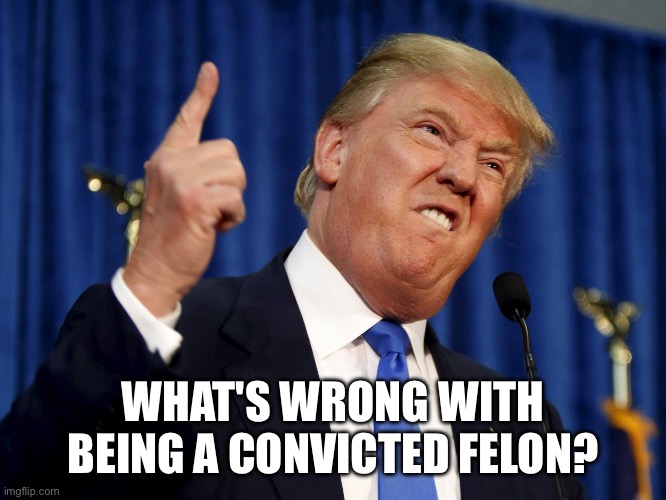 Trunp | WHAT'S WRONG WITH BEING A CONVICTED FELON? | image tagged in trunp | made w/ Imgflip meme maker