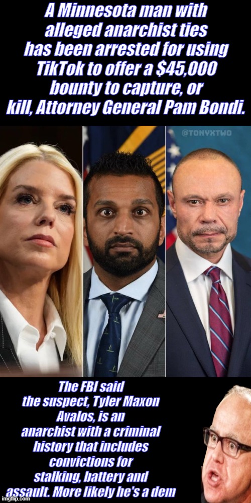 They grow some good ones in MINN A soto | A Minnesota man with alleged anarchist ties has been arrested for using TikTok to offer a $45,000 bounty to capture, or kill, Attorney General Pam Bondi. The FBI said the suspect, Tyler Maxon Avalos, is an anarchist with a criminal history that includes convictions for stalking, battery and assault. More likely he's a dem | image tagged in bondi kash bongino | made w/ Imgflip meme maker