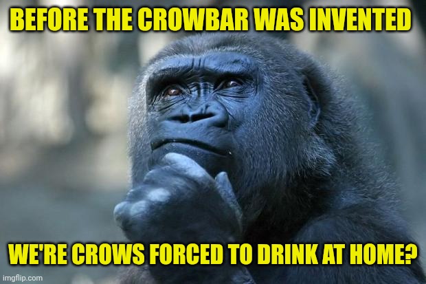Deep Thoughts | BEFORE THE CROWBAR WAS INVENTED; WE'RE CROWS FORCED TO DRINK AT HOME? | image tagged in deep thoughts | made w/ Imgflip meme maker