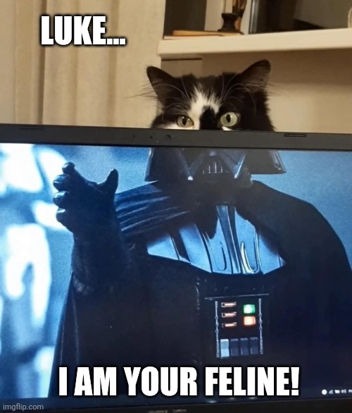 Darth Calico | LUKE... I AM YOUR FELINE! | image tagged in funny cats,cat,darth vader,wannabe | made w/ Imgflip meme maker