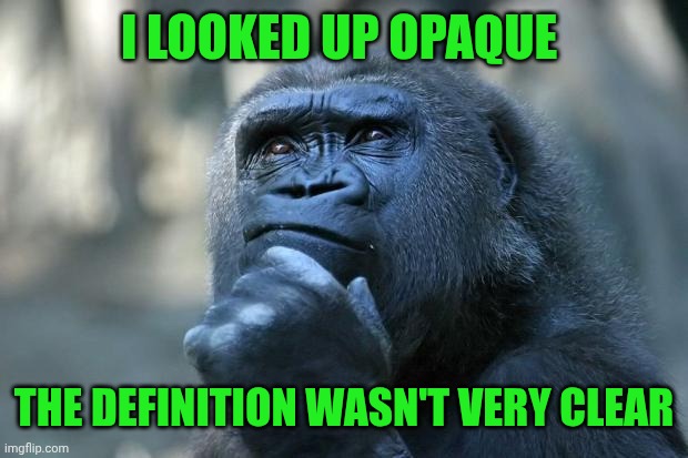 Deep Thoughts | I LOOKED UP OPAQUE; THE DEFINITION WASN'T VERY CLEAR | image tagged in deep thoughts | made w/ Imgflip meme maker