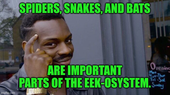 Roll Safe Think About It | SPIDERS, SNAKES, AND BATS; ARE IMPORTANT PARTS OF THE EEK-OSYSTEM. | image tagged in memes,roll safe think about it | made w/ Imgflip meme maker