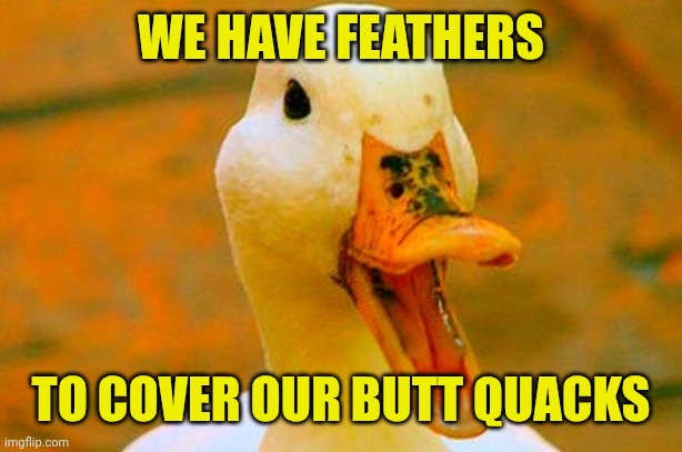 Surprised Duck | WE HAVE FEATHERS; TO COVER OUR BUTT QUACKS | image tagged in surprised duck | made w/ Imgflip meme maker