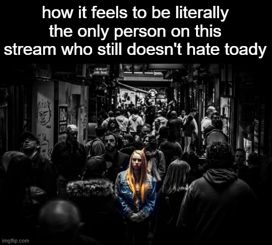 alone in a crowd | how it feels to be literally the only person on this stream who still doesn't hate toady | image tagged in alone in a crowd | made w/ Imgflip meme maker