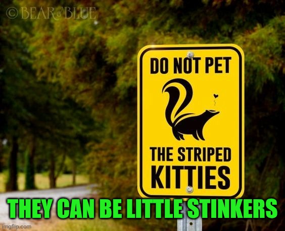 THEY CAN BE LITTLE STINKERS | made w/ Imgflip meme maker