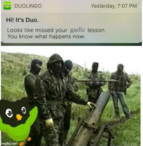 Duo's in the IRA | image tagged in doulingo | made w/ Imgflip meme maker