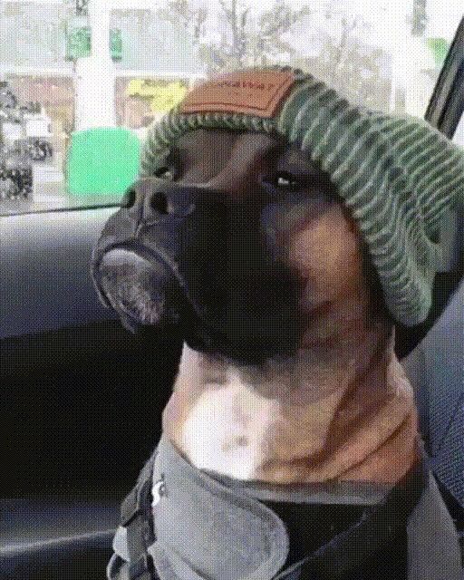 Chrisjoines1 Blank Meme Template