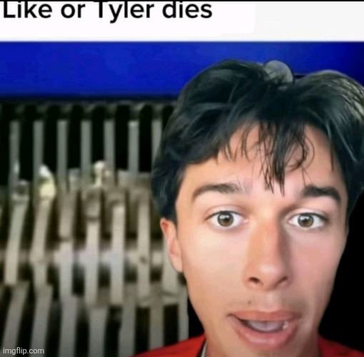 image tagged in tyler vitelli,pibby | made w/ Imgflip meme maker